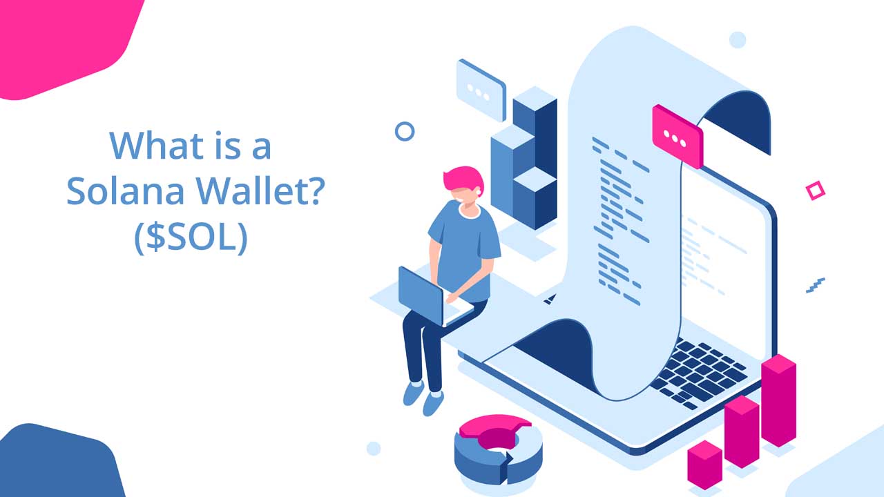 what is a solana wallet?